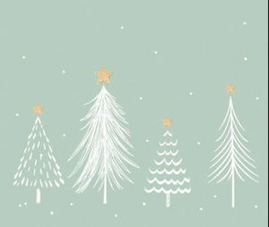 Meet your Posher, Avree